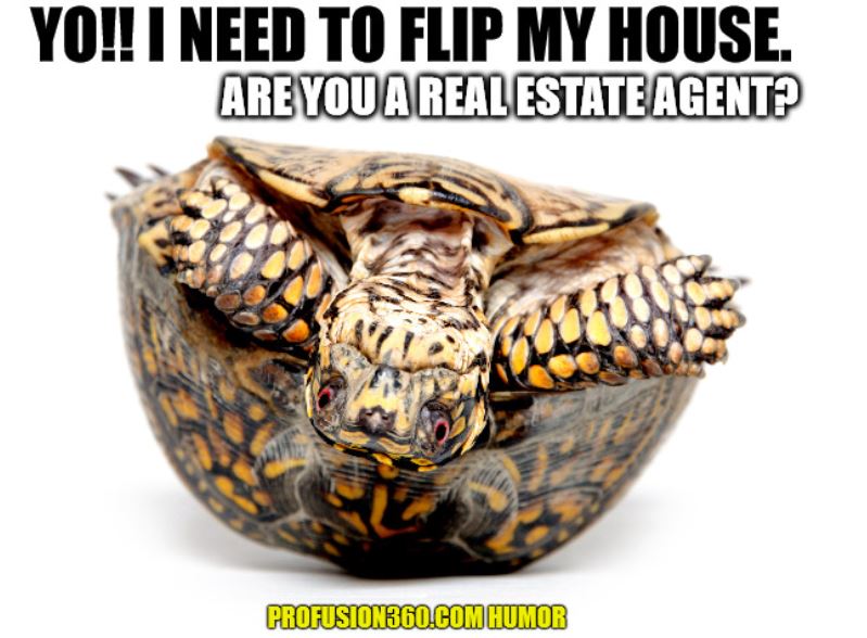 Are You A Real Estate Agent?