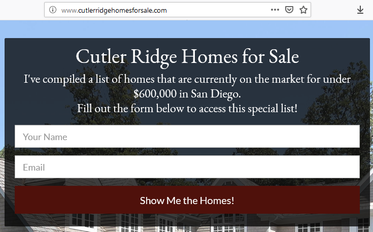 real estate landing page domain